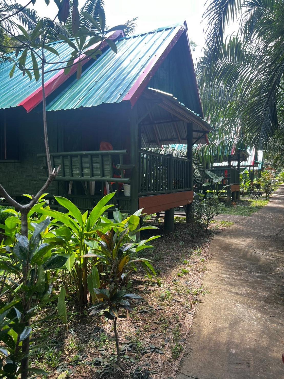 Khaosok Bamboo Huts Resort Khao Sok National Park Eksteriør billede